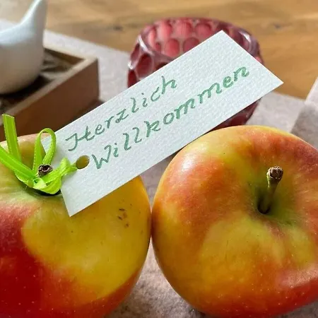 Alpennest Comfortable