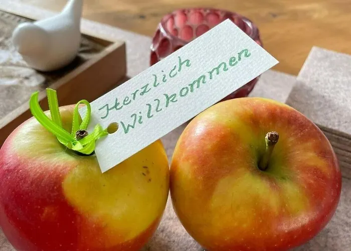 Alpennest Comfortable