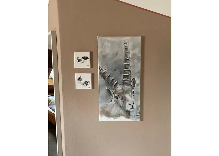 Alpennest Comfortable *